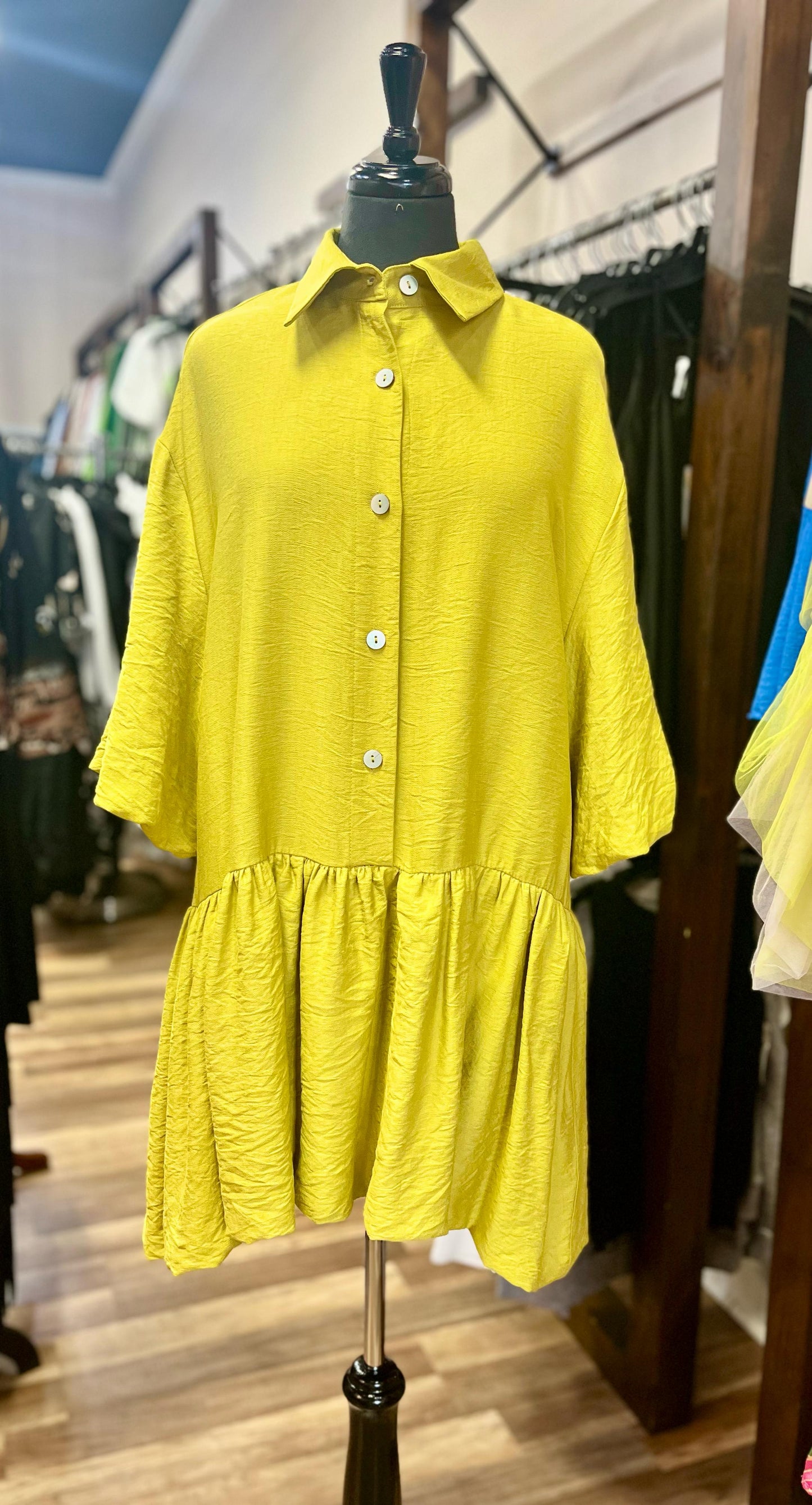 Shirtwaist Dress