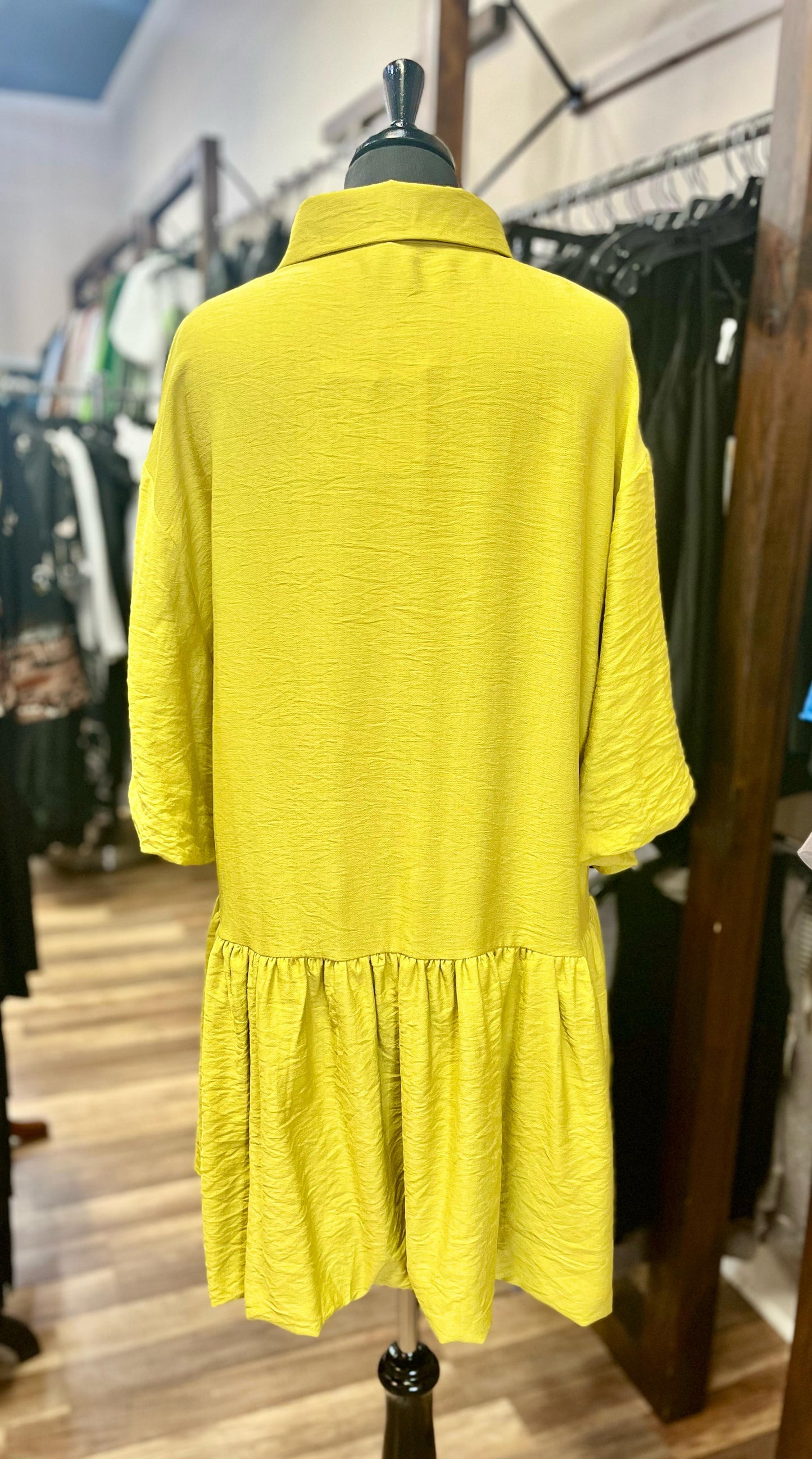 Shirtwaist Dress