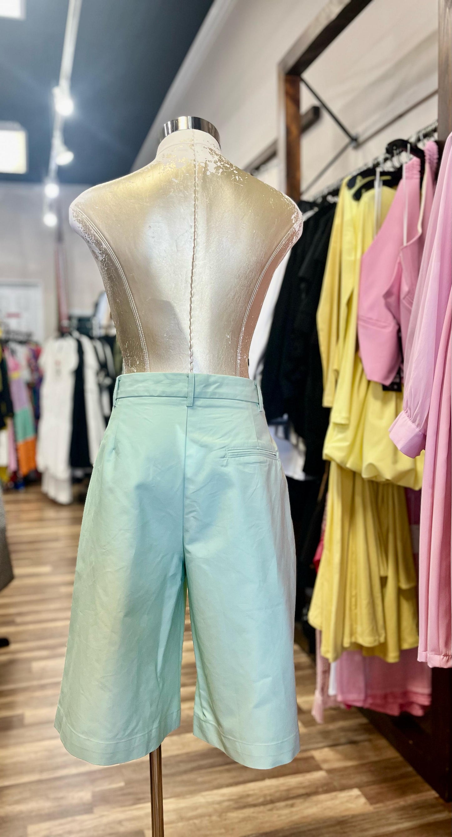 Pastel Mint Dress Shorts