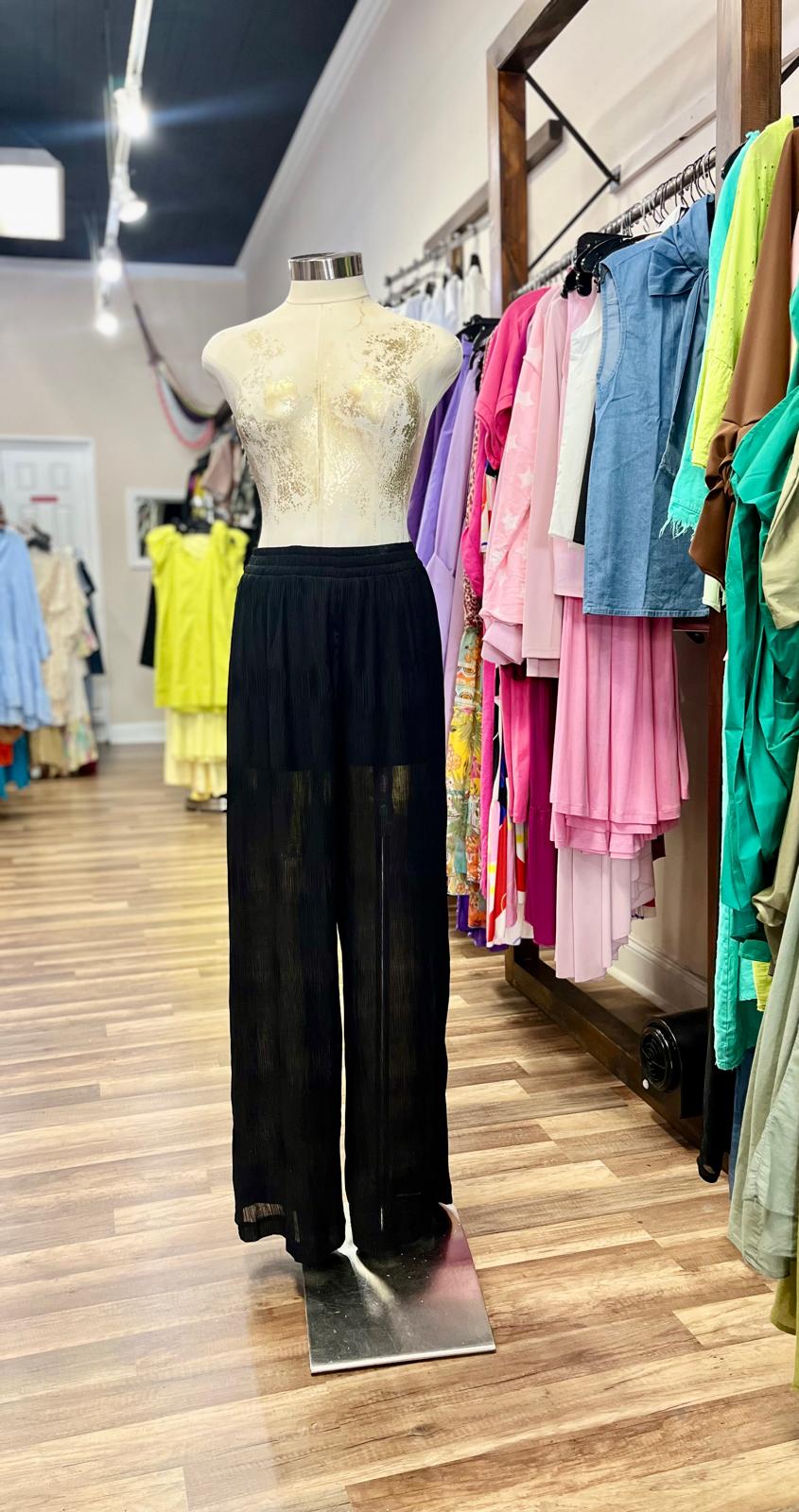 Wide-Leg Sheer Pants