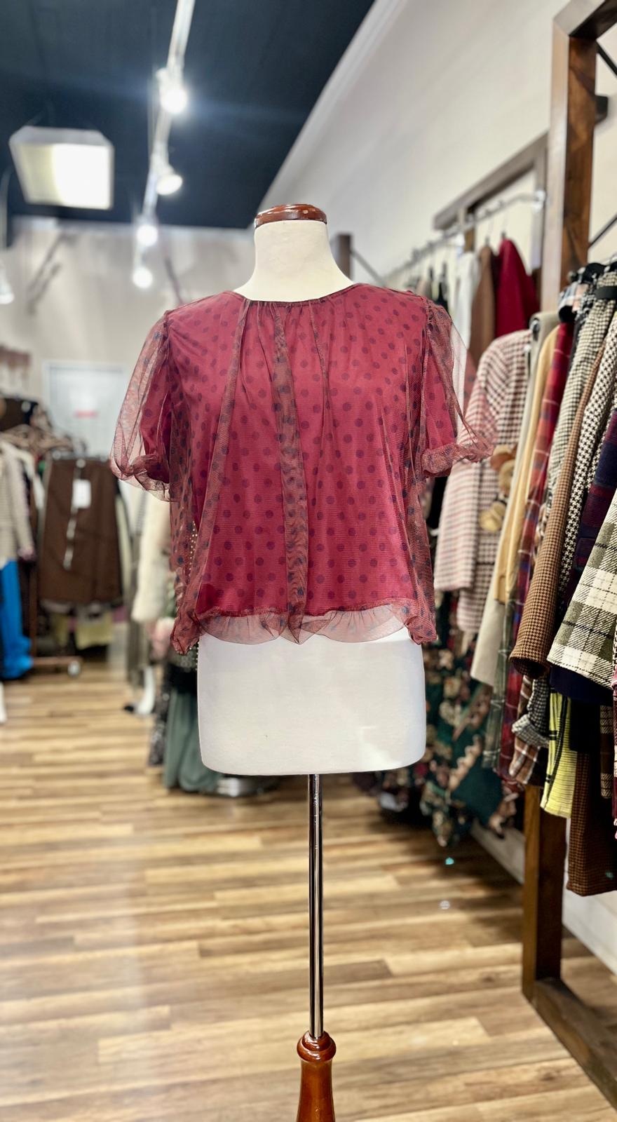 Sheer Polka-Dot Mesh Blouse