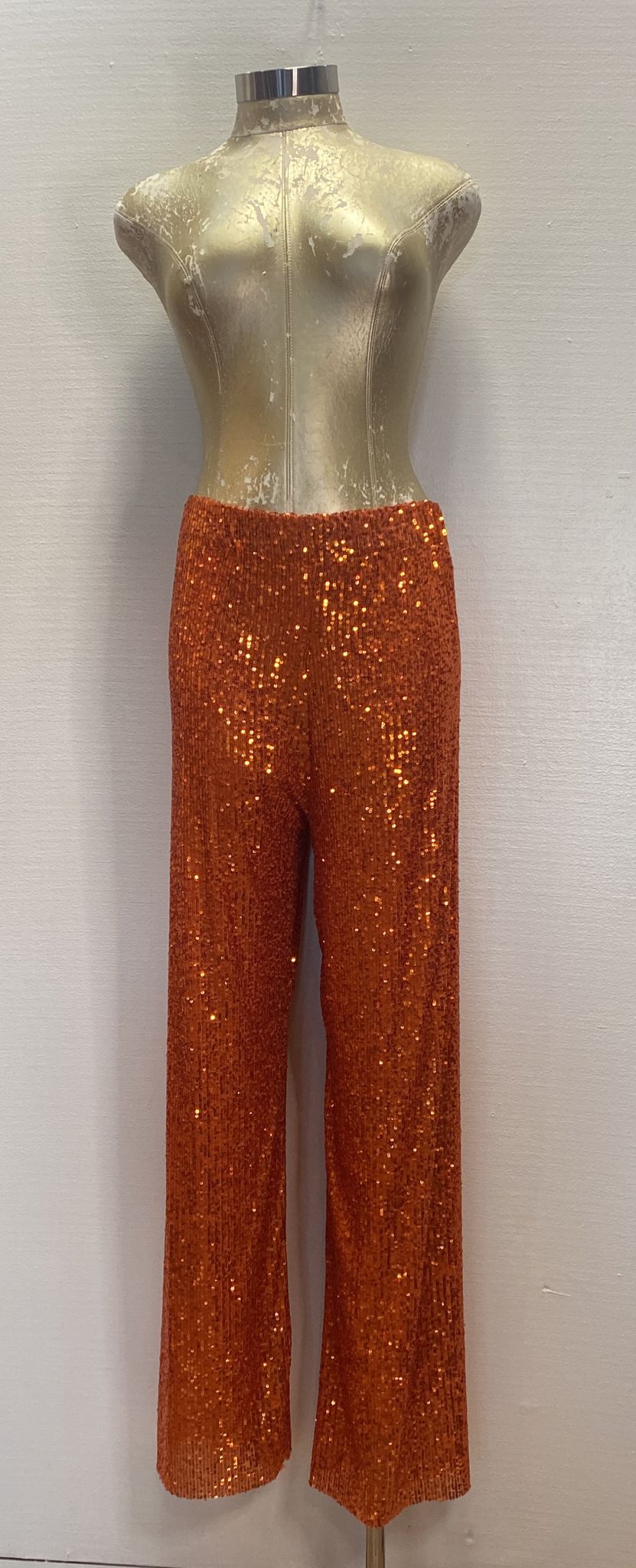 SEQUIN PANTS