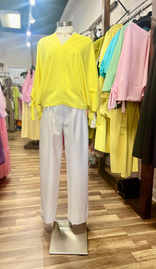 Pleated Pants