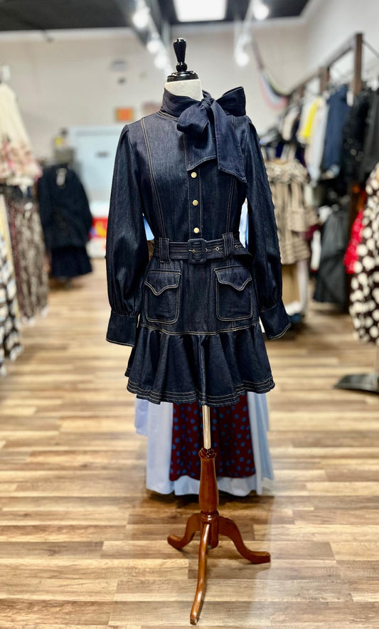 Bow Neck Denim Dress
